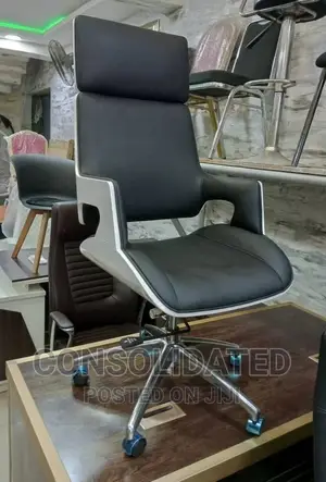 Unique Executive Office Chair