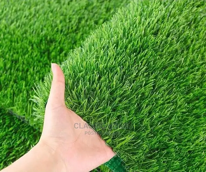 Standard Turkish Grass
