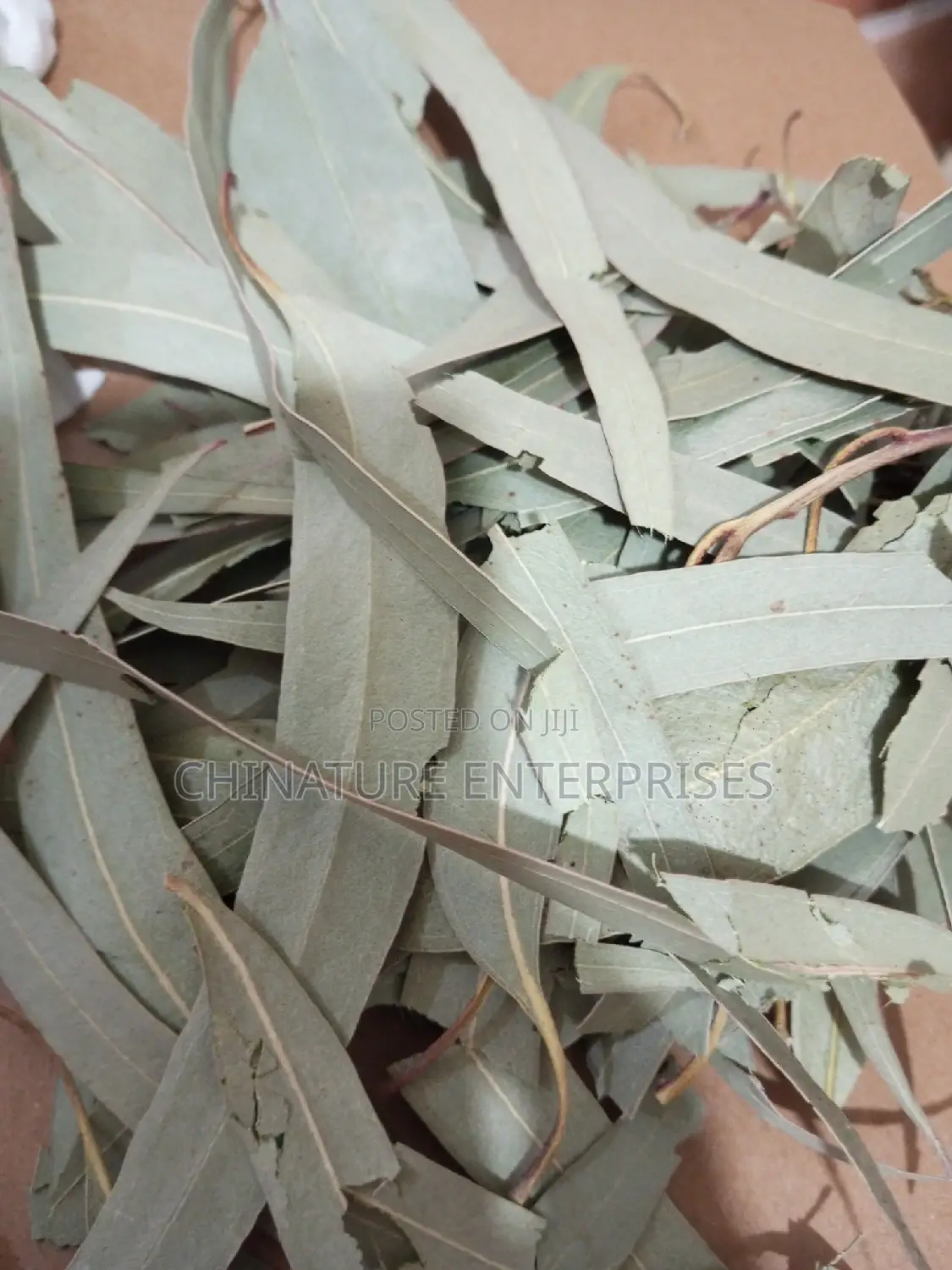 Eucalyptus Leaves - 100g