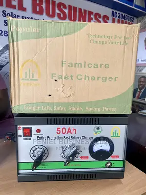 Famicare 50ah 6/12/24/36/48volts Battery Charger