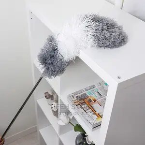 Feather Duster