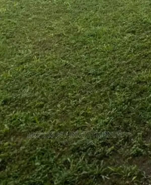 Very Good and Lovely Land for Sale At