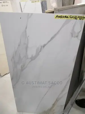 60by120 Spain Floor Tiles