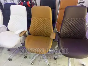 Executive Ergonomic Office Chair