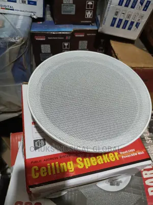Eagle Celling Speaker