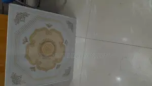 2ft/2ft PVC Ceiling