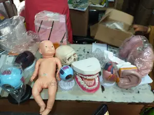 School and Hospital Models
