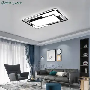 LED Ceiling Fittings/Flux Lights