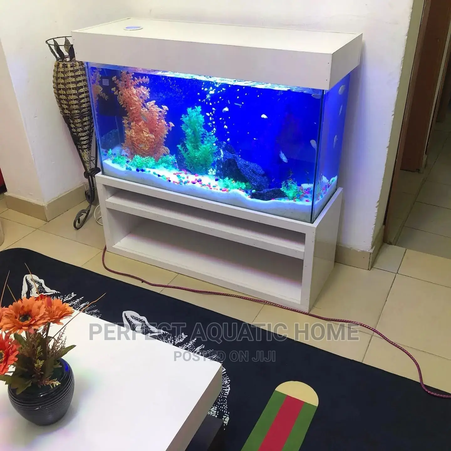 Aquarium Fish Tank Amazing