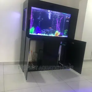 Aquarium Fishes Tank (Black)
