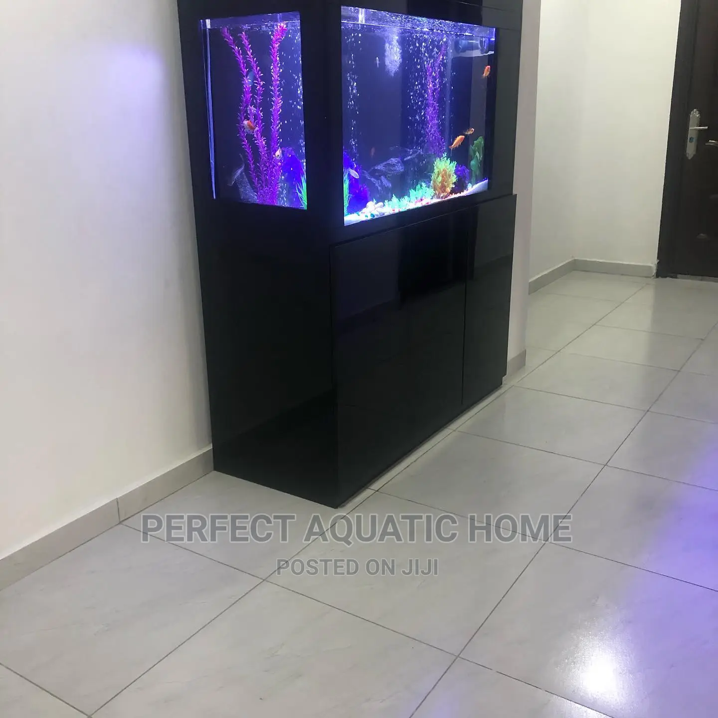 Aquarium Fishes Tank (Black)