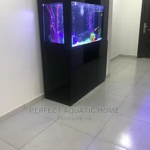 Aquarium Fishes Tank (Black)