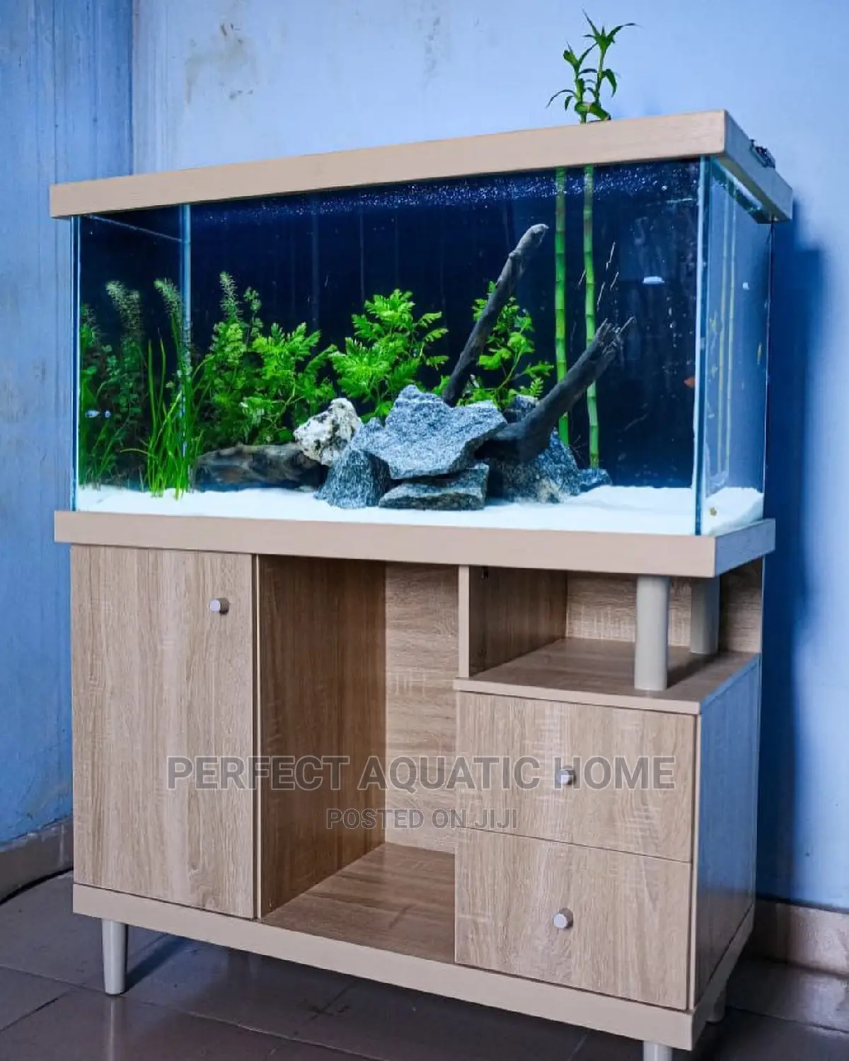 Aquarium Fish Tank