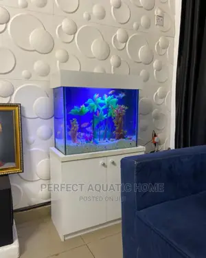 Aquarium (White)
