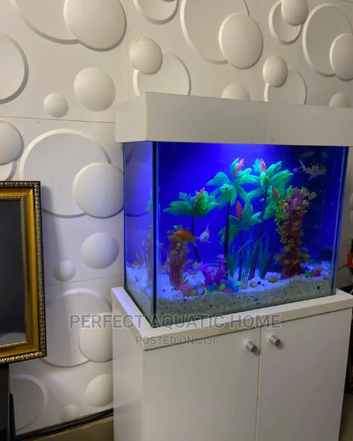 Aquarium (White)