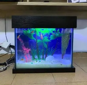 Aquarium Fish Tank (Small)