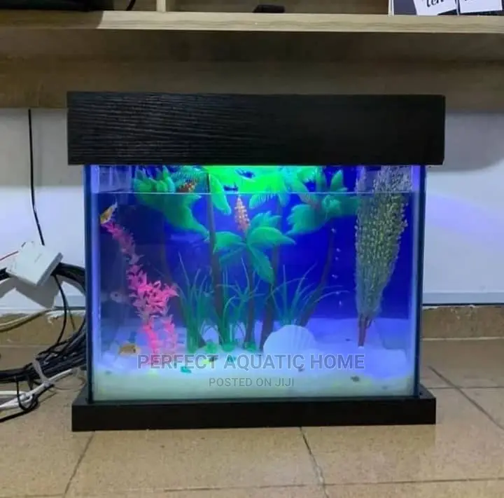 Aquarium Fish Tank (Small)