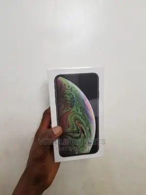 New Apple iPhone XS Max 256 GB Gray