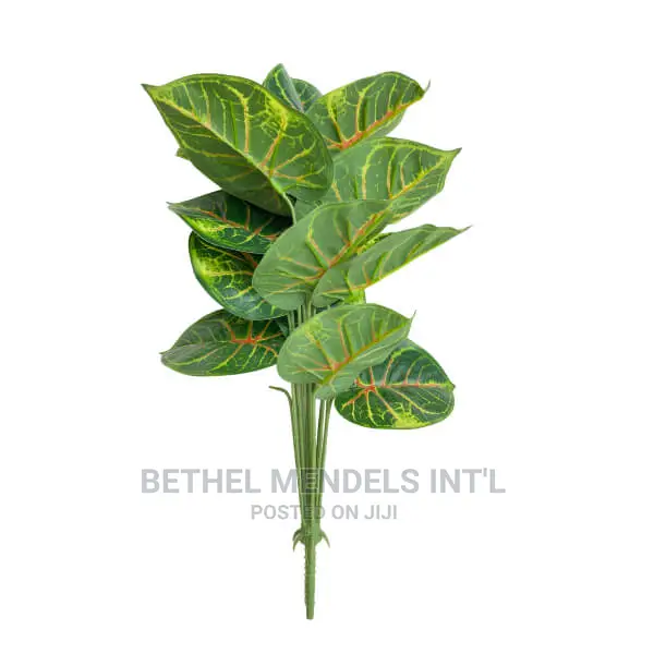 Unpotted Artificial Taro Plants Available for Bulk Purchases