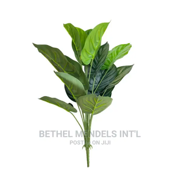 Unpotted Artificial Taro Plants Available for Bulk Purchases