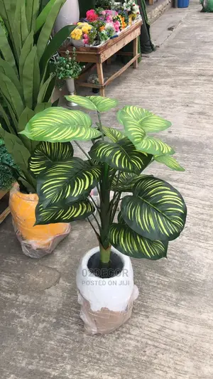 Artificial Plants and Pot