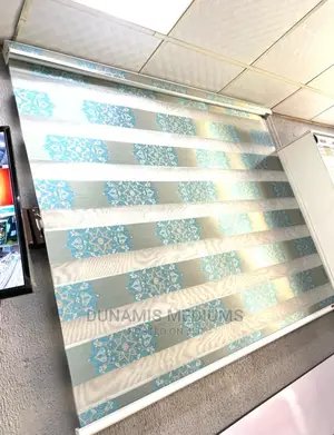 Day and Night Window Blinds.