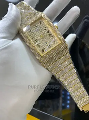 Franck Muller Iced Wristwatch