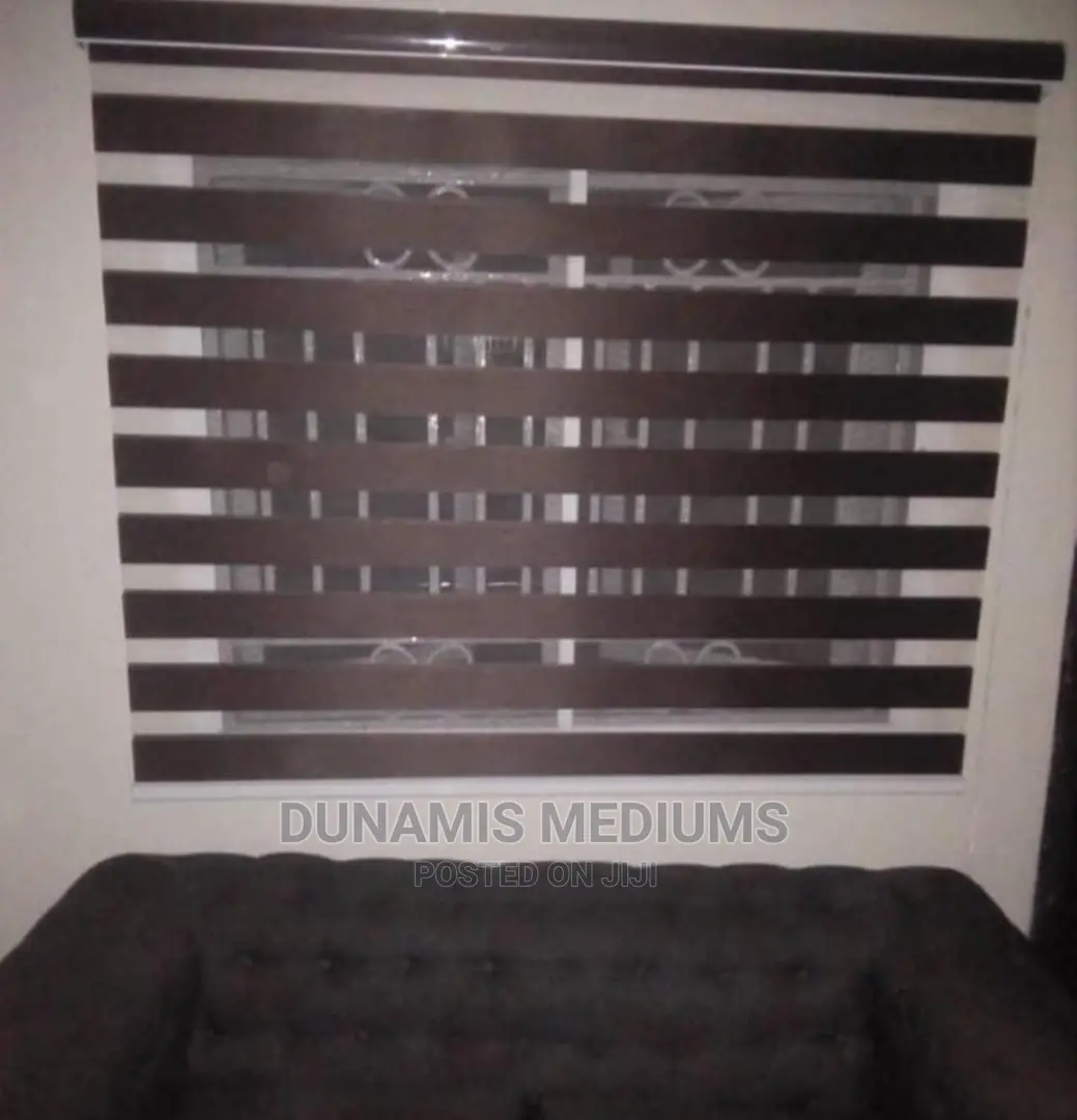 Day and Night Window Blinds