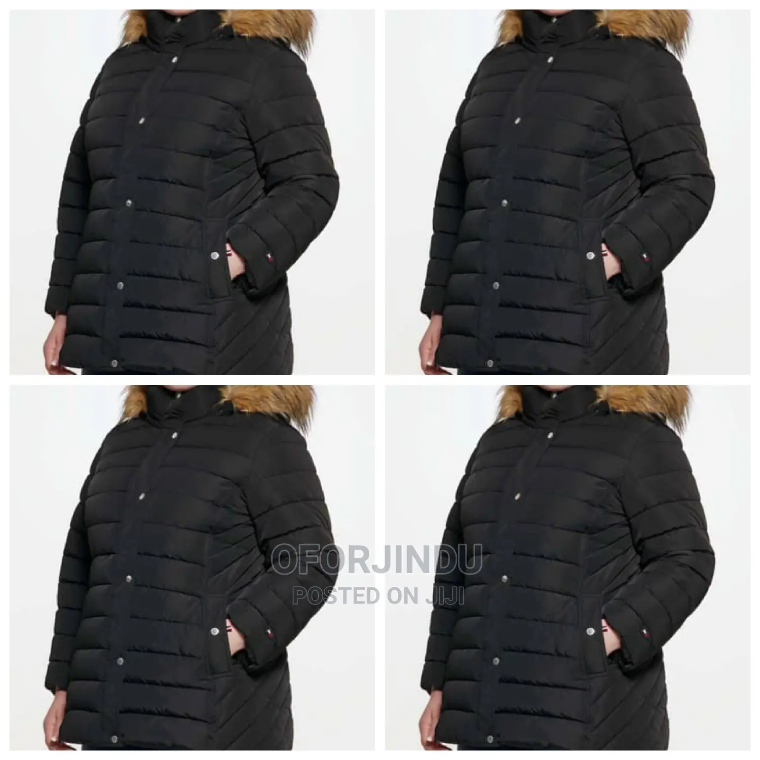 Winter Jacket Foreign Used Original