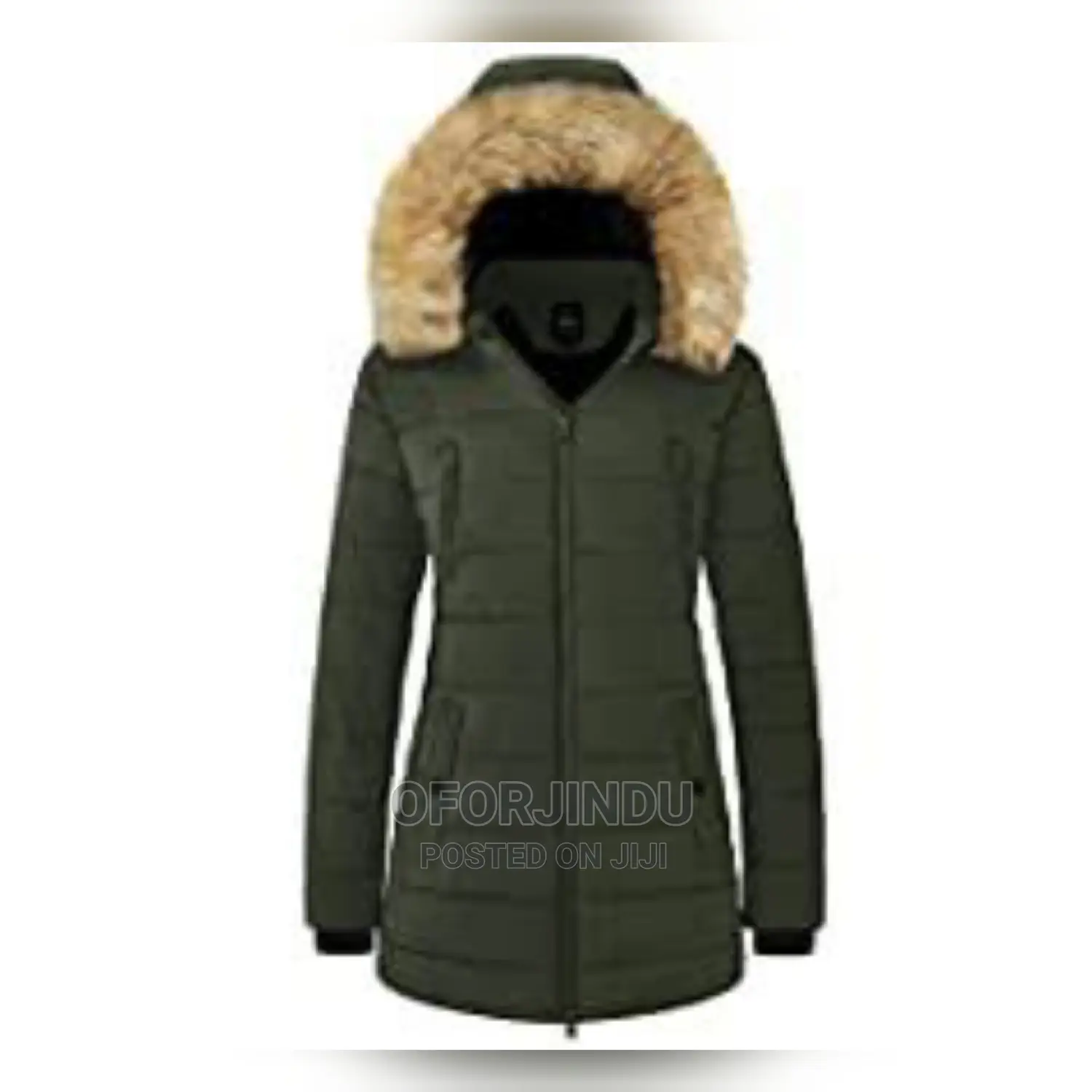 Winter Jacket Foreign Used Original