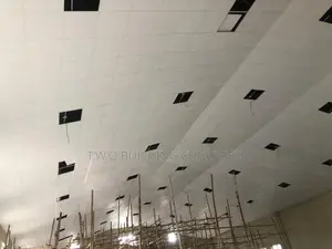 60/60 Suspended Laminated Ceiling