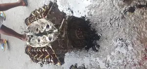 Half Engine for Toyota Sienna 08