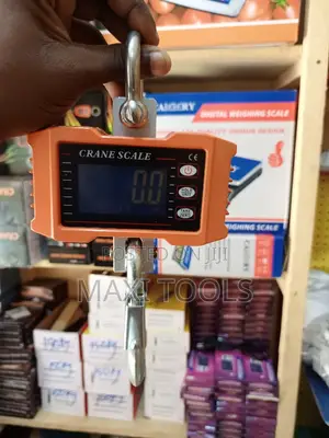 1000kg Digital Hanging Scale Crane