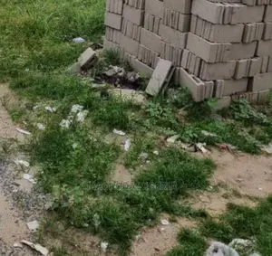 2 Plots of Land at Major Rd Off Agbe Rd,New Okoba,Agege
