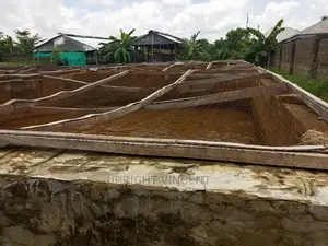 Fish Farm Set-up