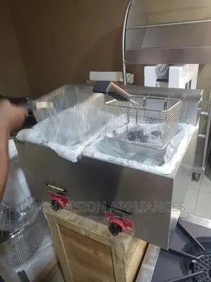 Large Gas Deep Fryer (20 Liter Each) Industrial Deep Fryer