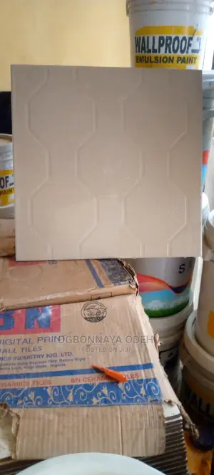 Wall Tiles for Bathroom, Kitchen and Toilet