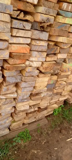 Quality Hard Wood,Itara, in Different Sizes, 2x6x11 Ft