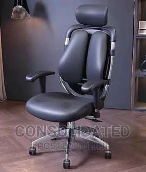 Ergonomic Office Chair (Kidney)