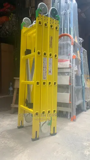 16 Step Multipurpose Ladder