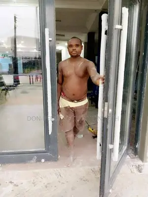 Aluminum Swing Door