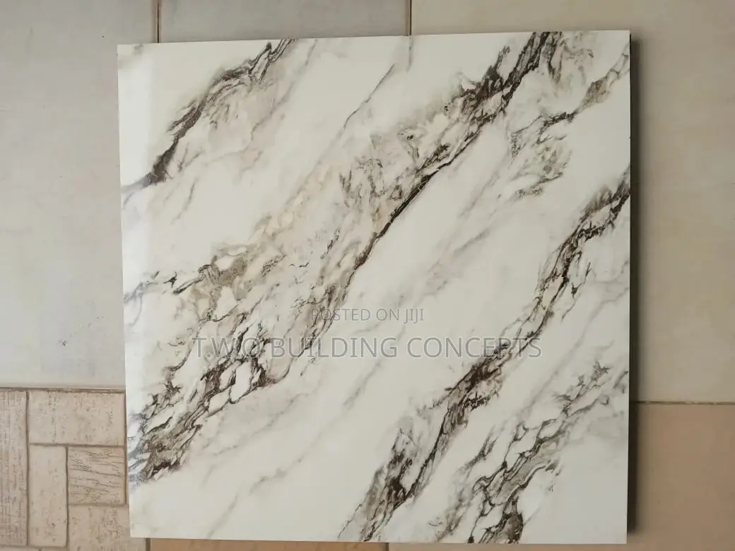 60/60 Floor Tile