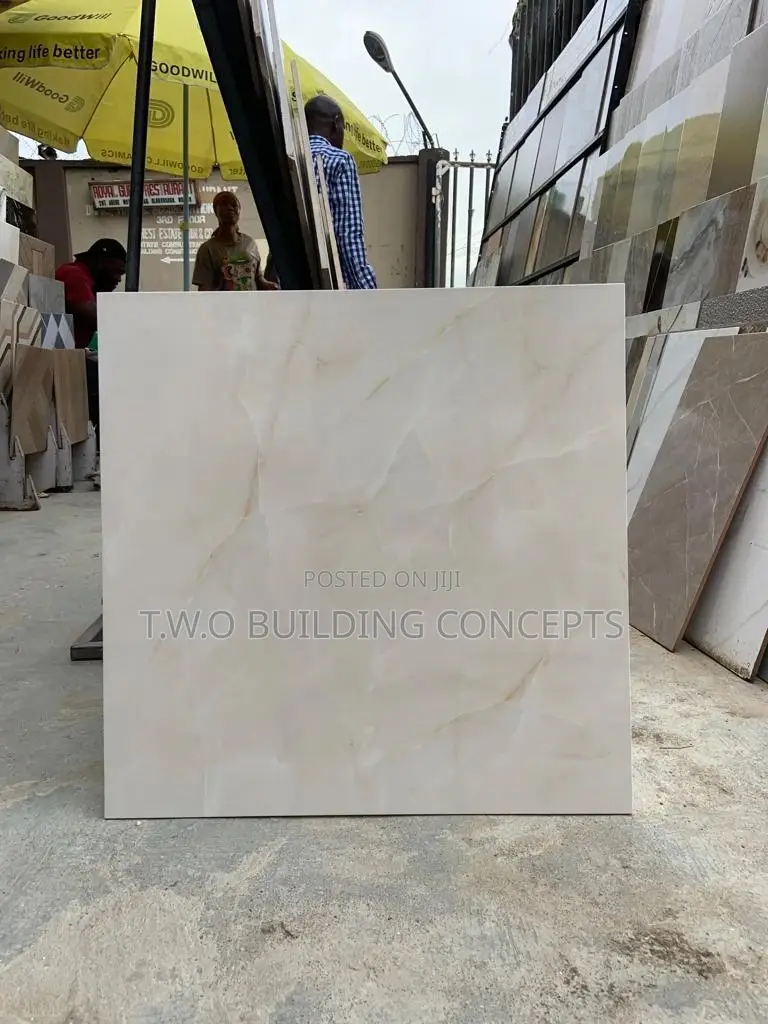 60/60 Floor Tile