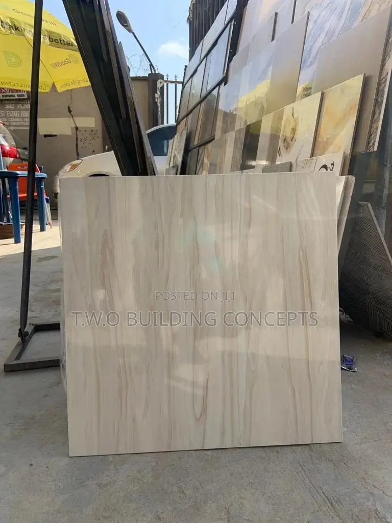 60/60 Floor Tile