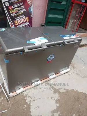 Double Door Freezer