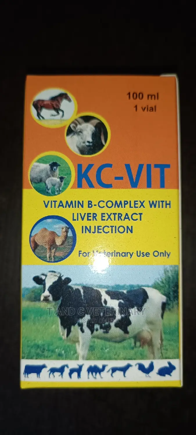 Kc Vit B Complex With Liver Extract Injection 100ml