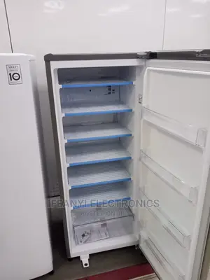 LG Standing Freezer FRZ 304R