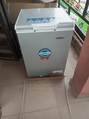 Thermocool Chest Freezer 100liter