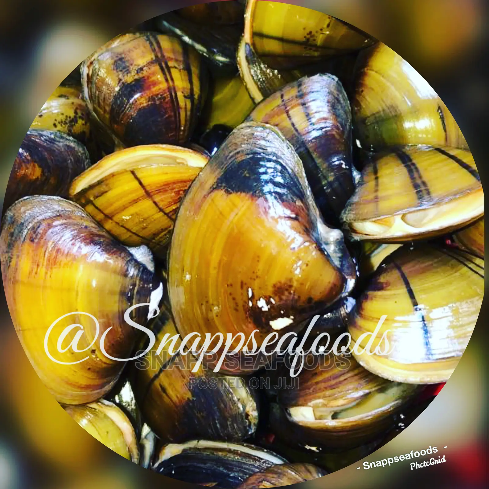 Fresh Clams in Abuja