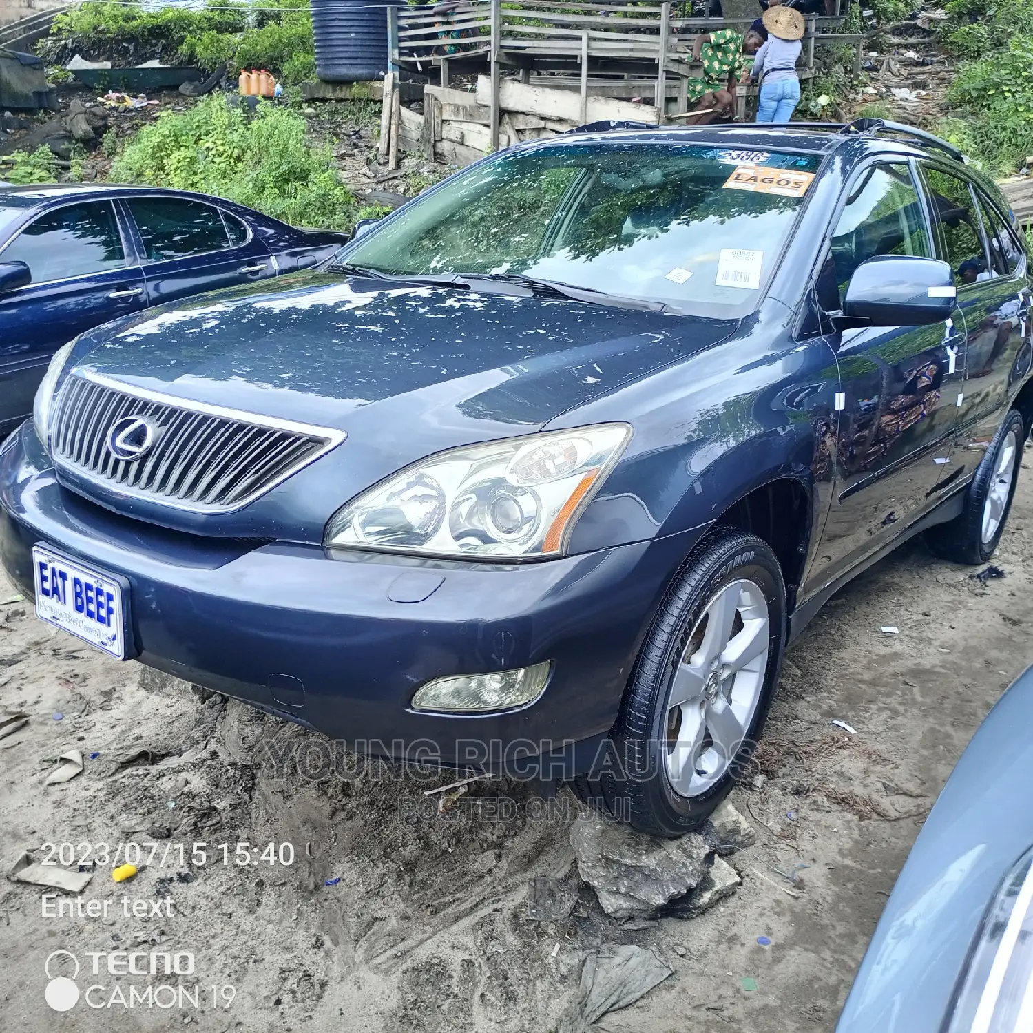 Lexus RX 2006 Gray